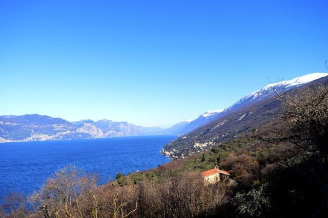 Villa Mery Torri del Benaco Kültér fotó